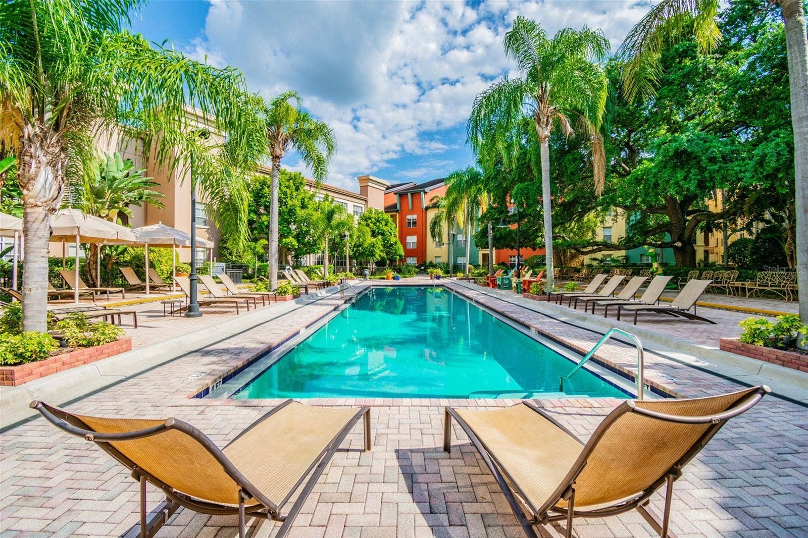 2411 W HORATIO STREET, #538, Tampa, FL 33609 2411 W HORATIO STREET, #538, Tampa, FL 33609
