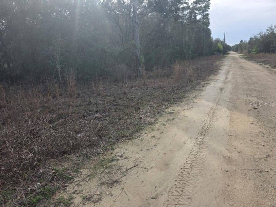 Property photo for NE 60 PLACE, Bronson, FL