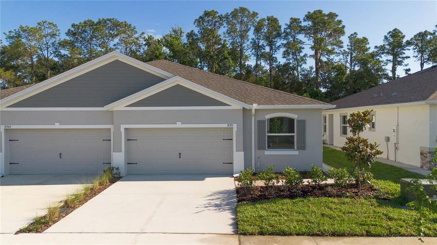 Property photo for 31351 PAPER BIRCH STREET, Wesley Chapel, FL