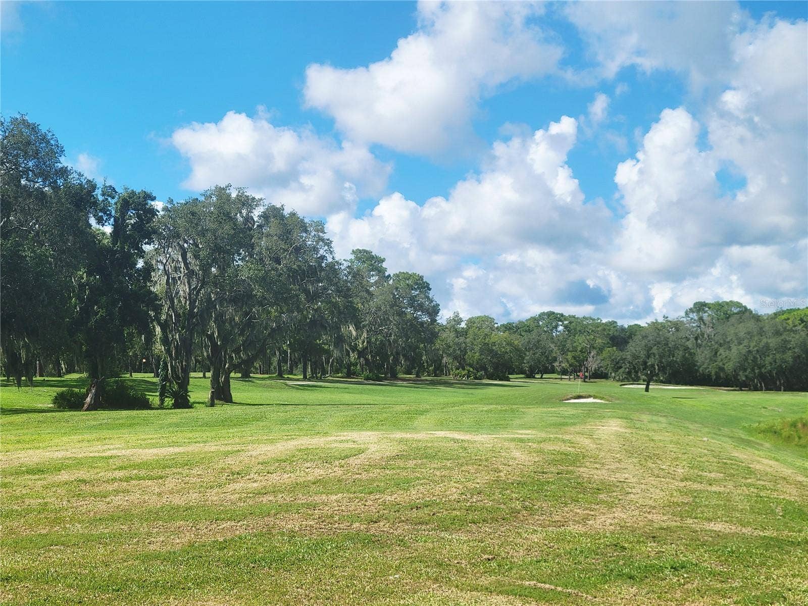 9022 LINGROVE ROAD, Weeki Wachee, FL 34613 Hope to see you soon!