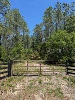 Property photo for NE HWY 353, Old Town, FL