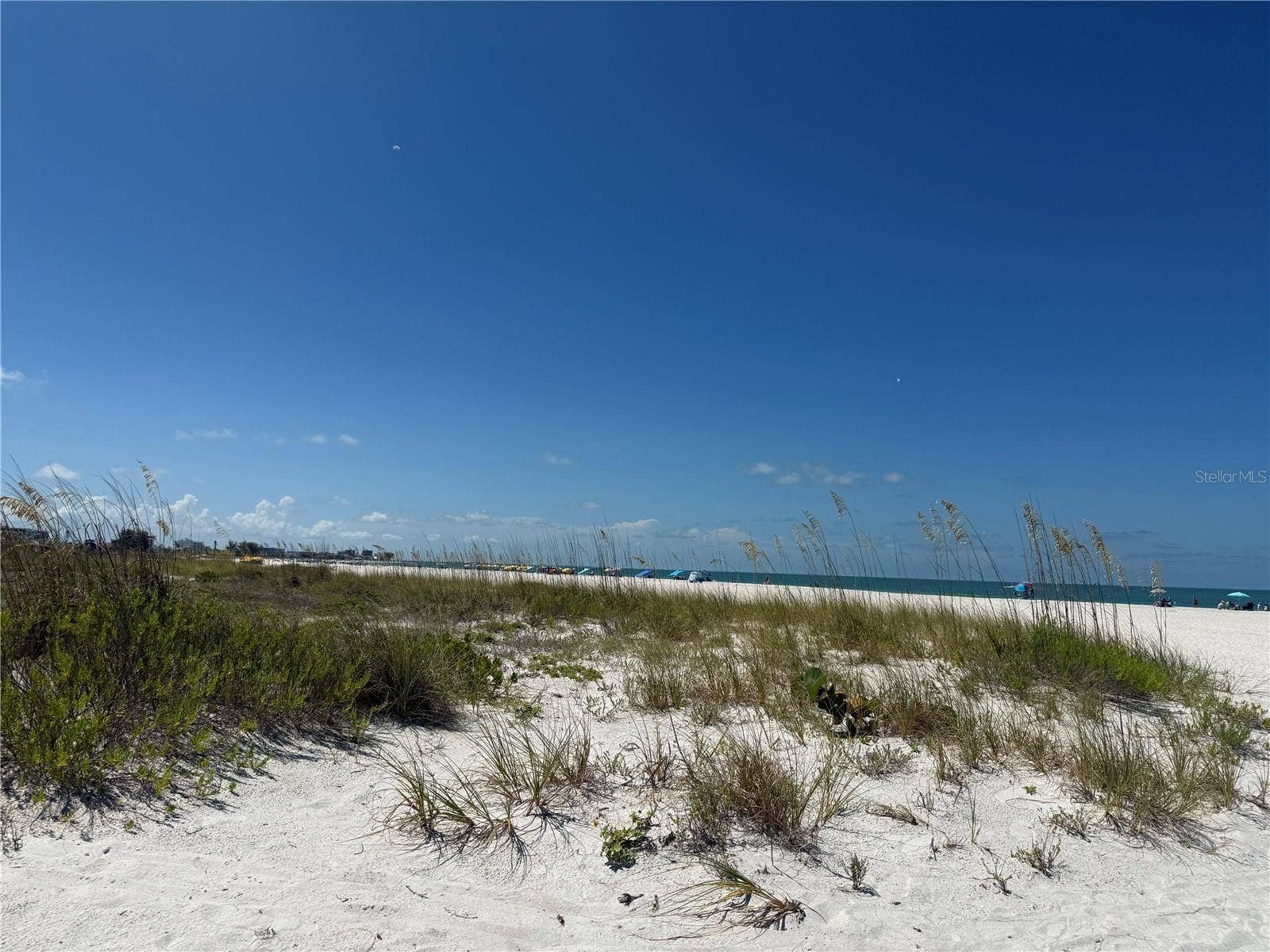 155 112TH AVENUE, #A, Treasure Island, FL 33706 Looking over the dunes to the Gulf. See beach umbrellas in the distance.