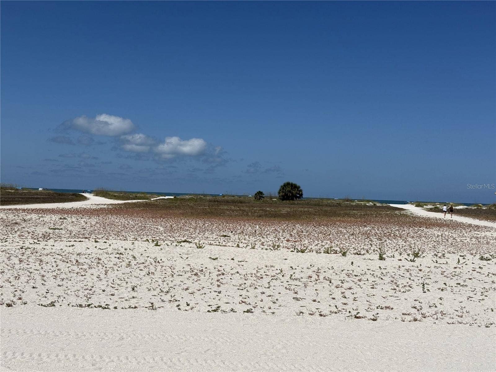 155 112TH AVENUE, #A, Treasure Island, FL 33706 Large beach area with paths