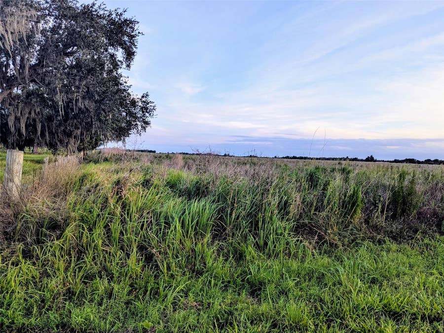 Property photo for TOM BRYAN RD, Zolfo Springs, FL