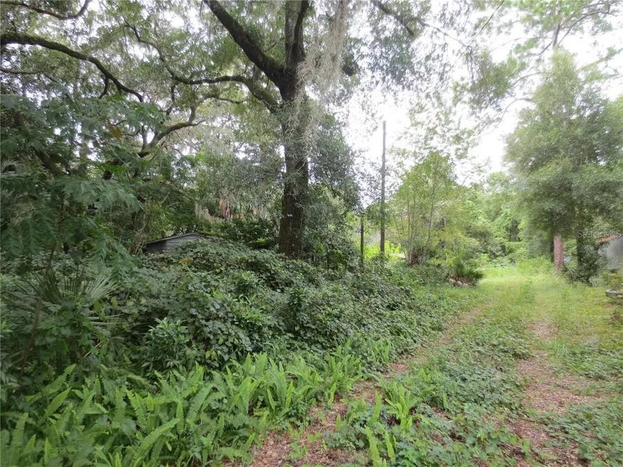 Property photo for 16865 SE 3RD PLACE, Silver Springs, FL