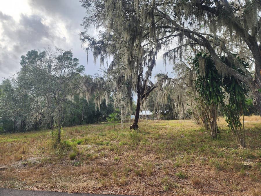 Property photo for 1409 WILKINSON DRIVE, Plant City, FL