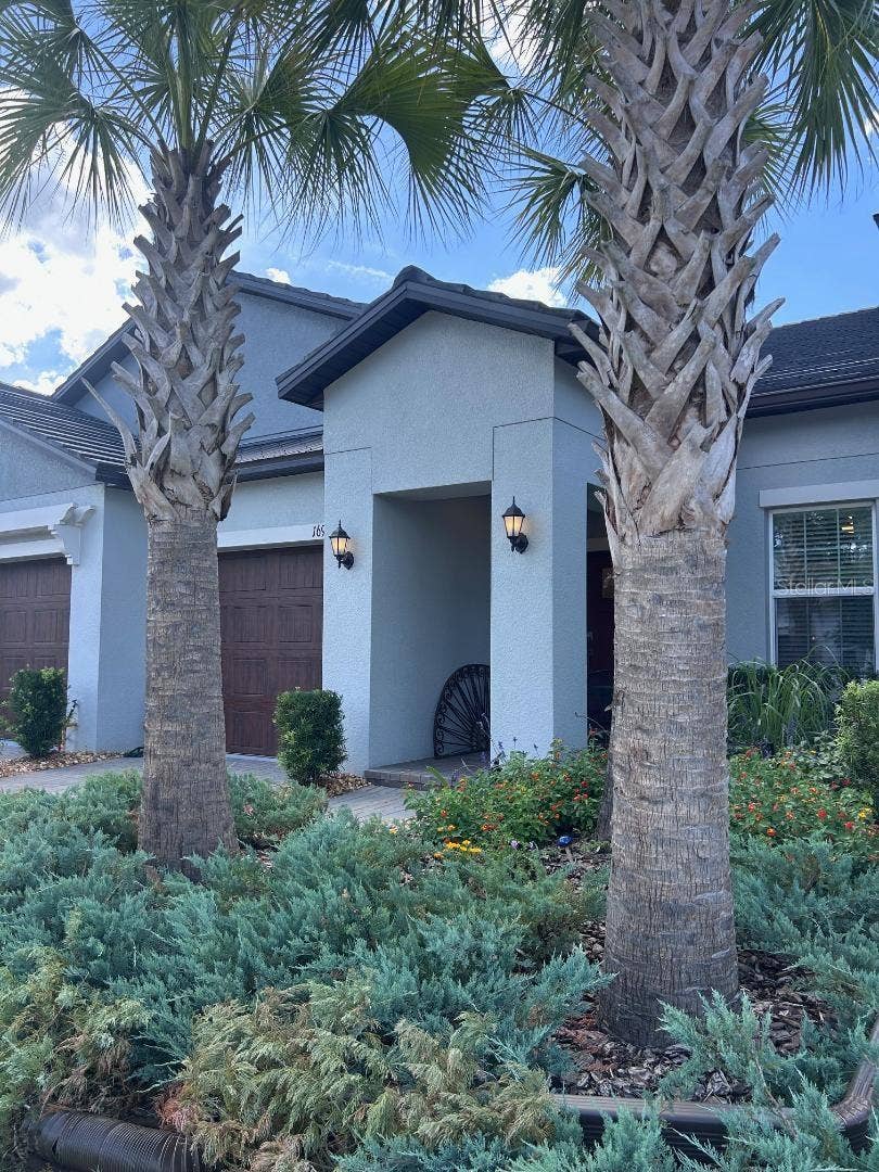Property photo for 16919 FORGE SURF STREET, Land O Lakes, FL