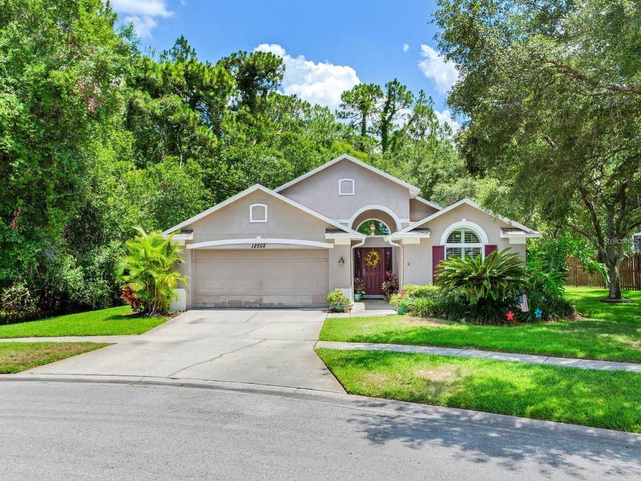 Property photo for 12502 BLAZING STAR DRIVE, Tampa, FL
