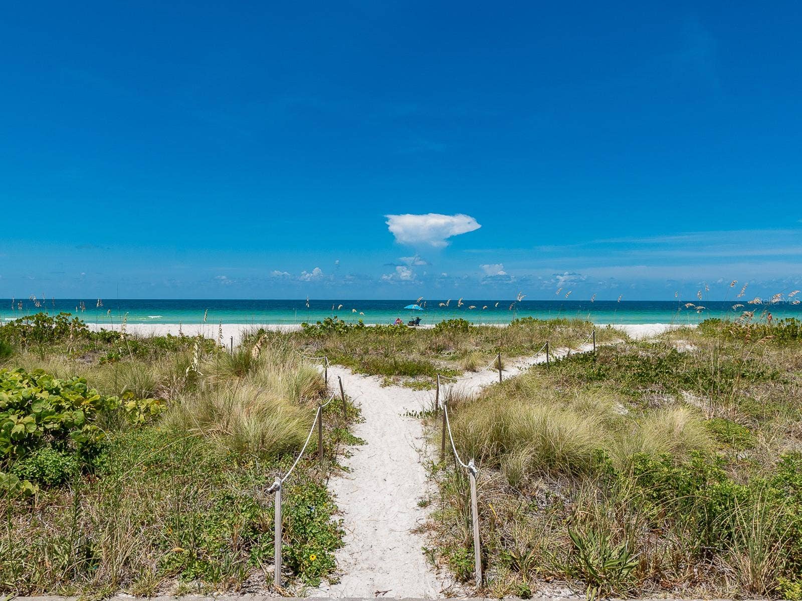 1480 GULF BOULEVARD, #607, Clearwater Beach, FL 33767 1480 GULF BOULEVARD, #607, Clearwater Beach, FL 33767