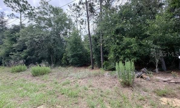 Property photo for 3223 E SCOFIELD ST, Inverness, FL