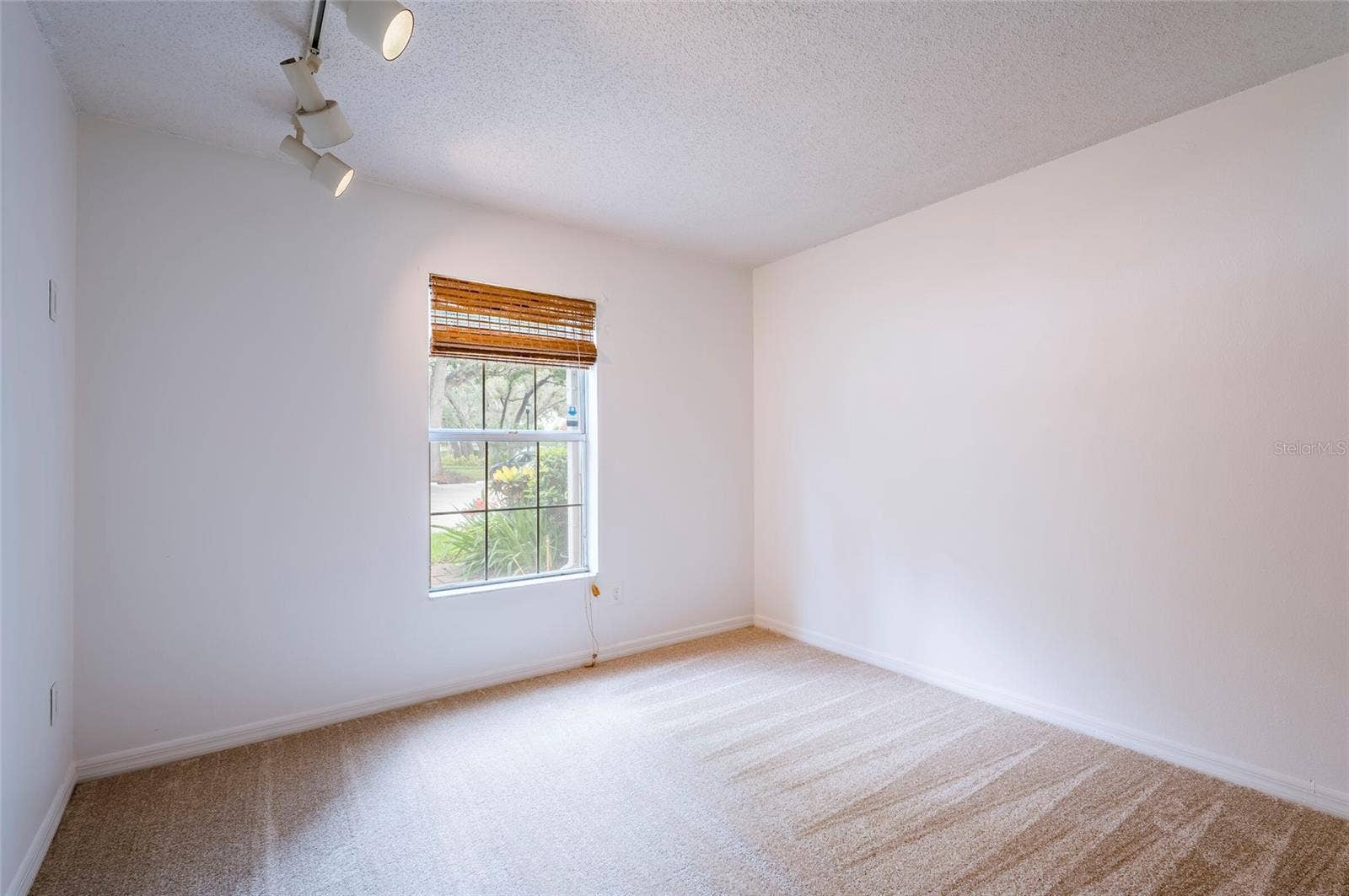 3164 VALLEY OAKS DRIVE, #3164, Tampa, FL 33618 3164 VALLEY OAKS DRIVE, #3164, Tampa, FL 33618