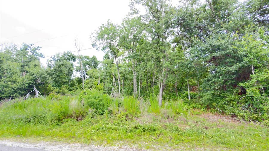 Property photo for 7402 LAND DRIVE, Wesley Chapel, FL