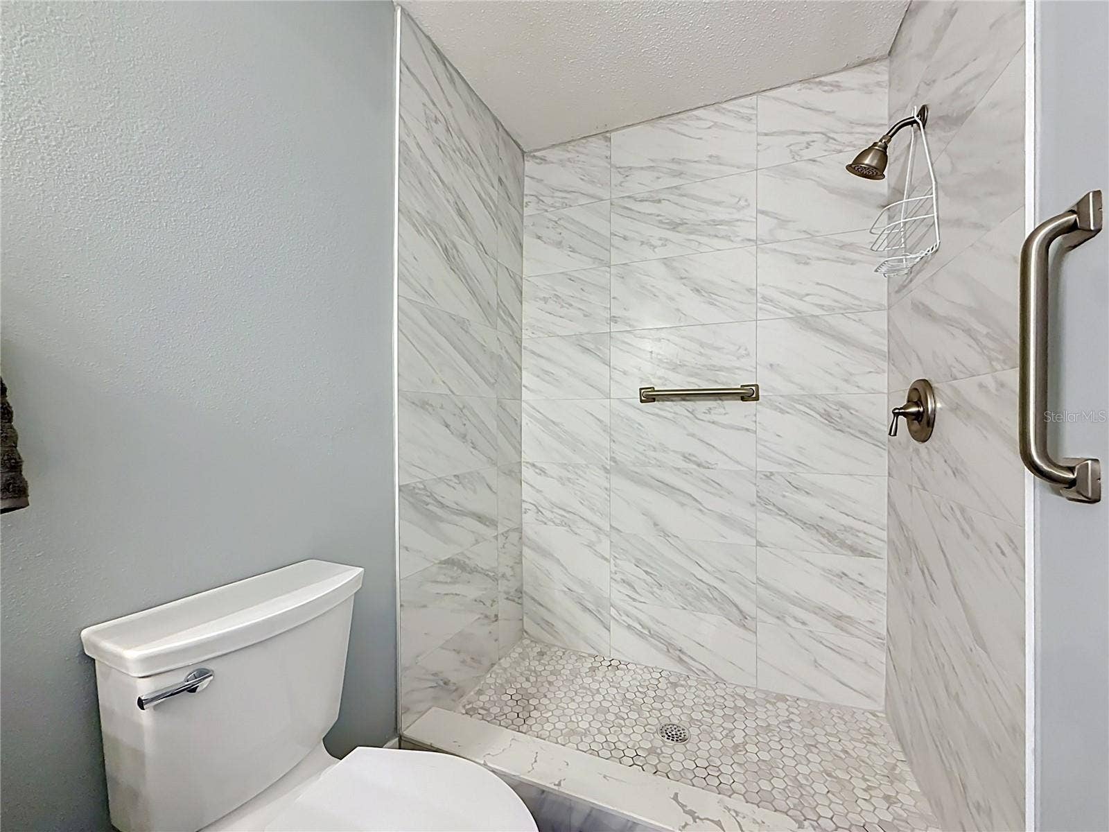 3018 59TH STREET S, #102, Gulfport, FL 33707 walk-in shower