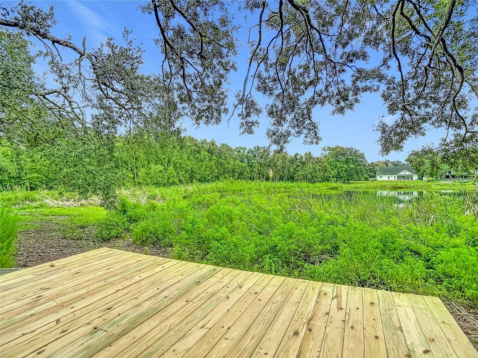 12721 N ARMENIA AVENUE, Tampa, FL 33612 12721 N ARMENIA AVENUE, Tampa, FL 33612
