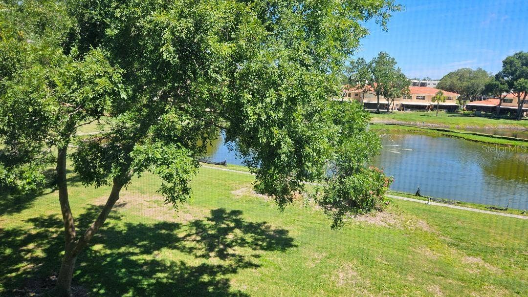 5920 80TH STREET N, #308, St Petersburg, FL 33709 VIEW FROM YOUR BALCONY