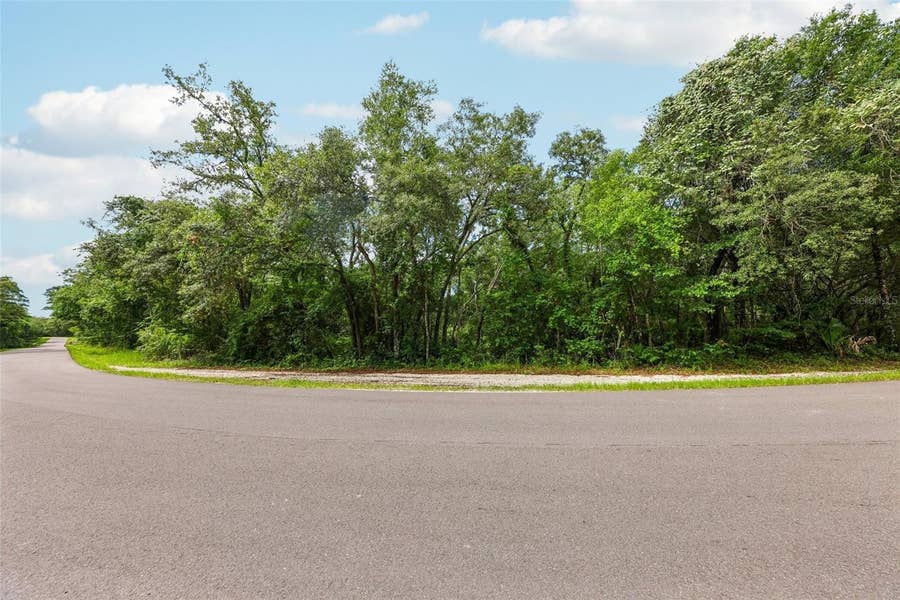 Property photo for 33340 TOMBSTONE ST, Webster, FL