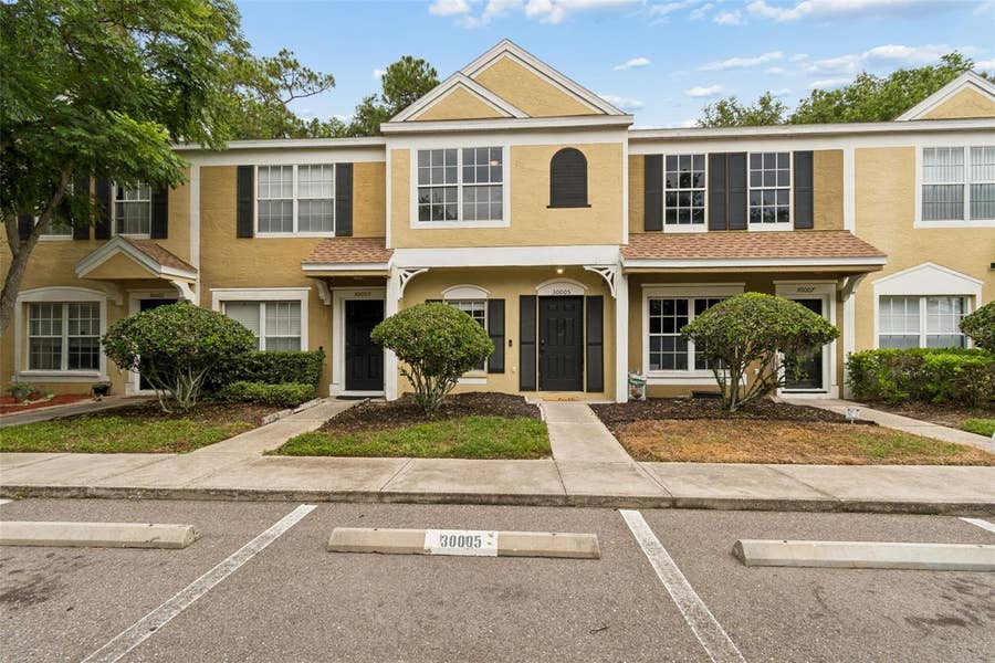 Property photo for 30005 GRANDA HILLS COURT, Wesley Chapel, FL
