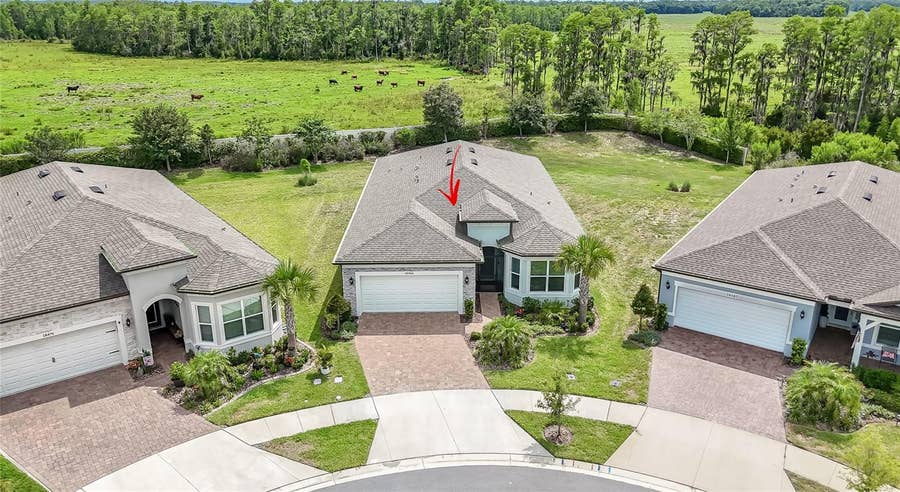 Property photo for 18466 COASTAL SHORE TERRACE, Land O Lakes, FL