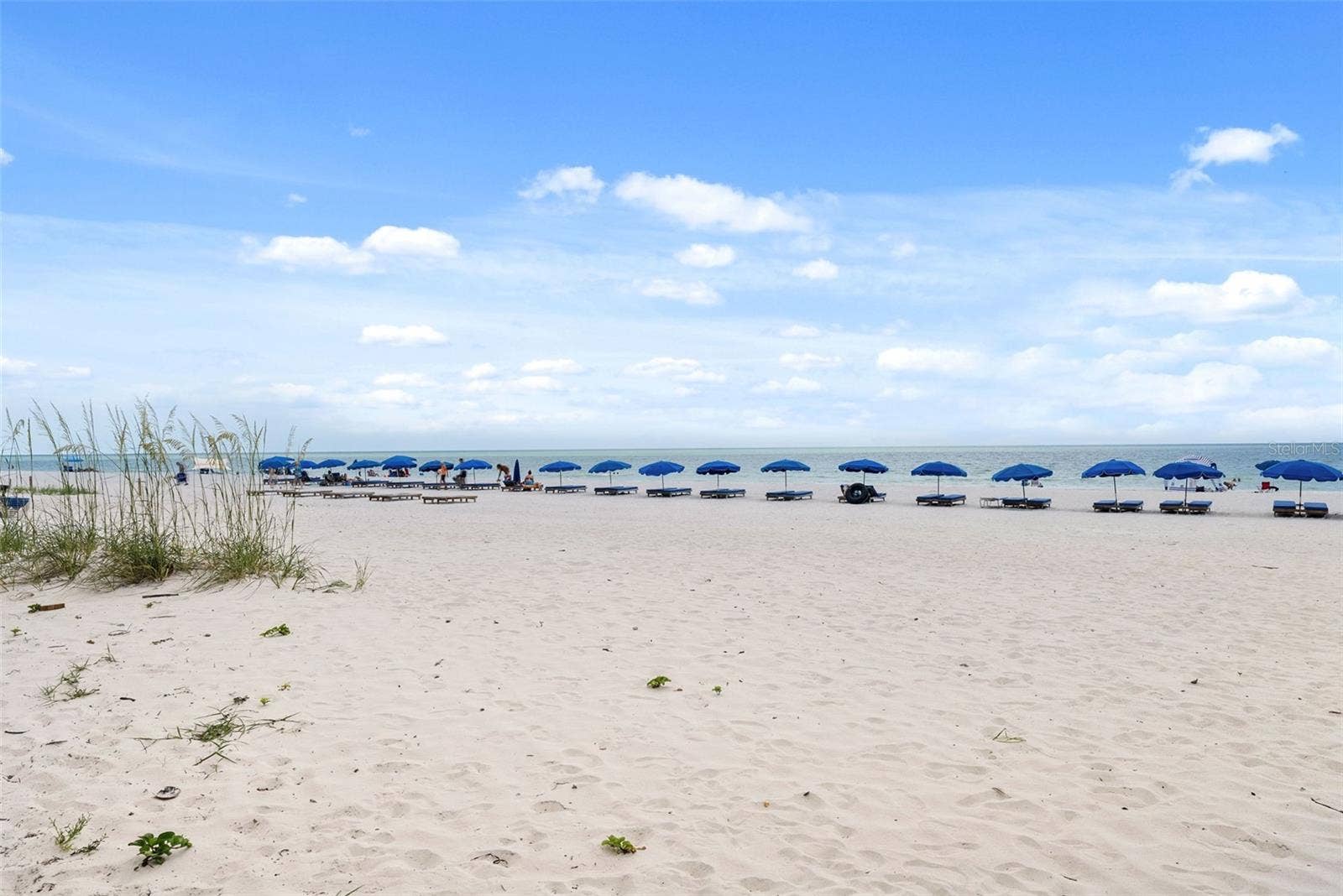 20002 GULF BOULEVARD, #2, Indian Shores, FL 33785 20002 GULF BOULEVARD, #2, Indian Shores, FL 33785