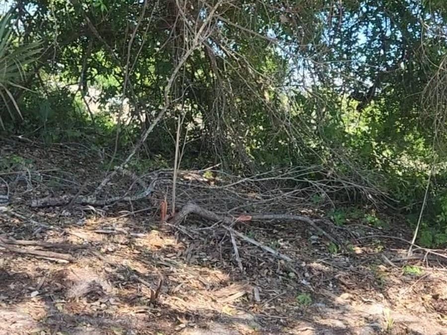 Property photo for 12323 CLARENDON AVENUE, Port Charlotte, FL