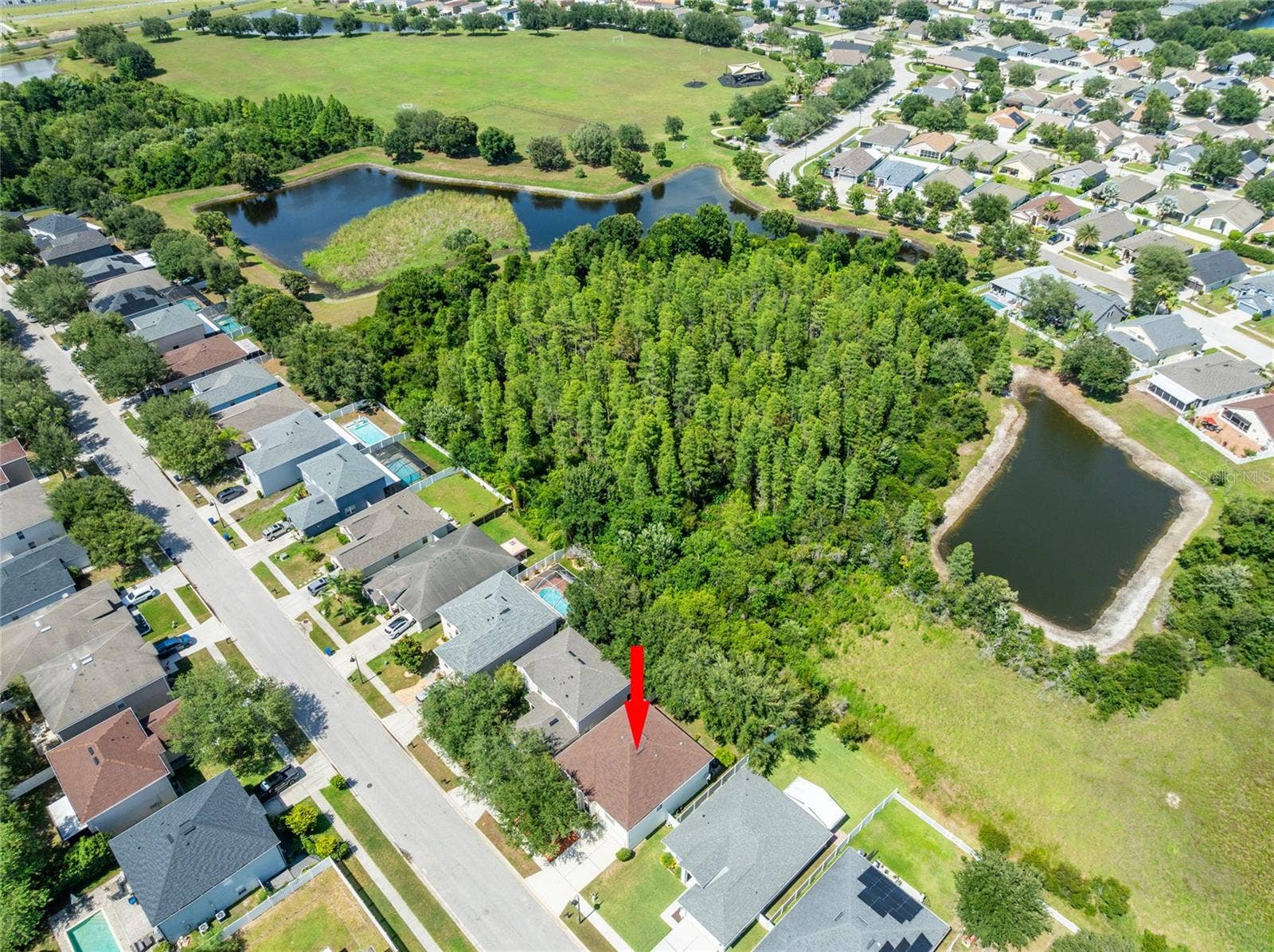 3142 BELLERICAY LANE, Land O Lakes, FL 34638 3142 BELLERICAY LANE, Land O Lakes, FL 34638