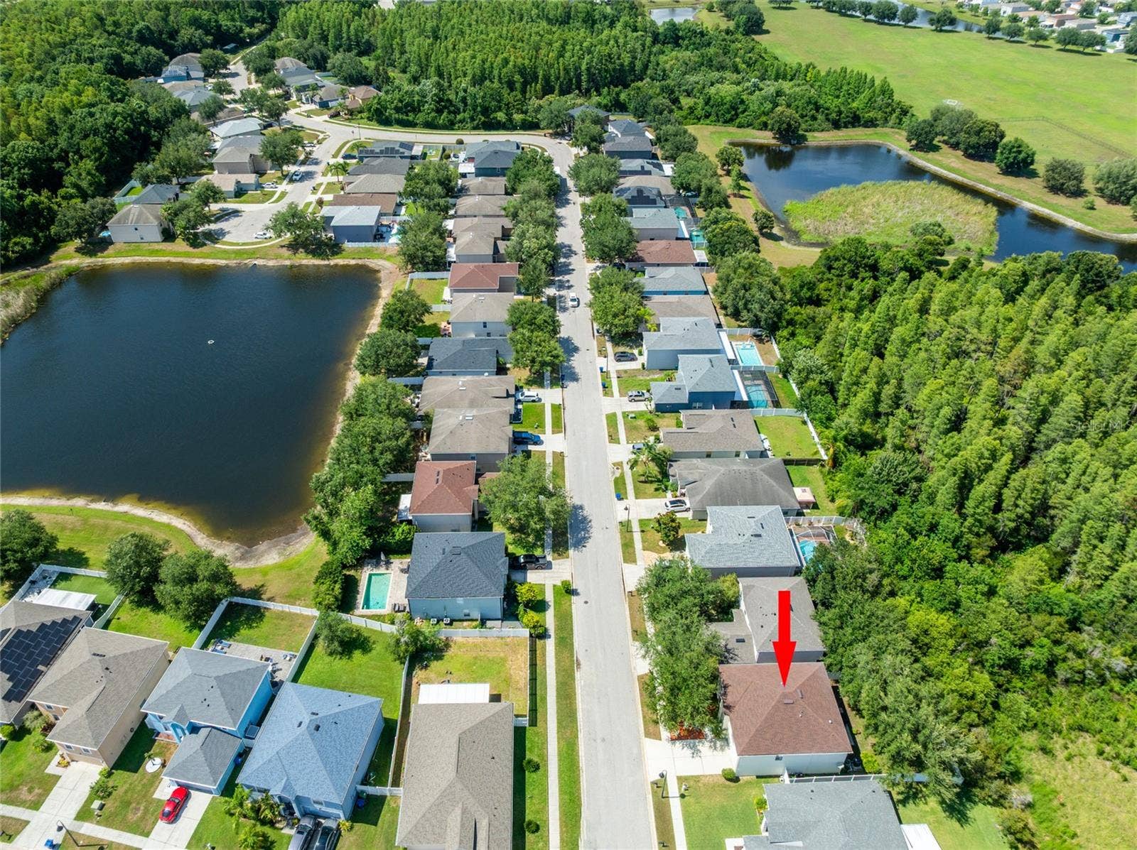 3142 BELLERICAY LANE, Land O Lakes, FL 34638 3142 BELLERICAY LANE, Land O Lakes, FL 34638