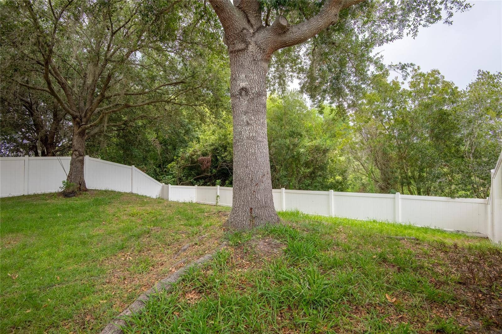 3142 BELLERICAY LANE, Land O Lakes, FL 34638 3142 BELLERICAY LANE, Land O Lakes, FL 34638