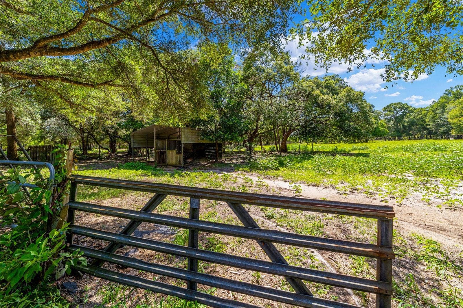 11768 N GATLEN AVENUE, Dunnellon, FL 34433 11768 N GATLEN AVENUE, Dunnellon, FL 34433