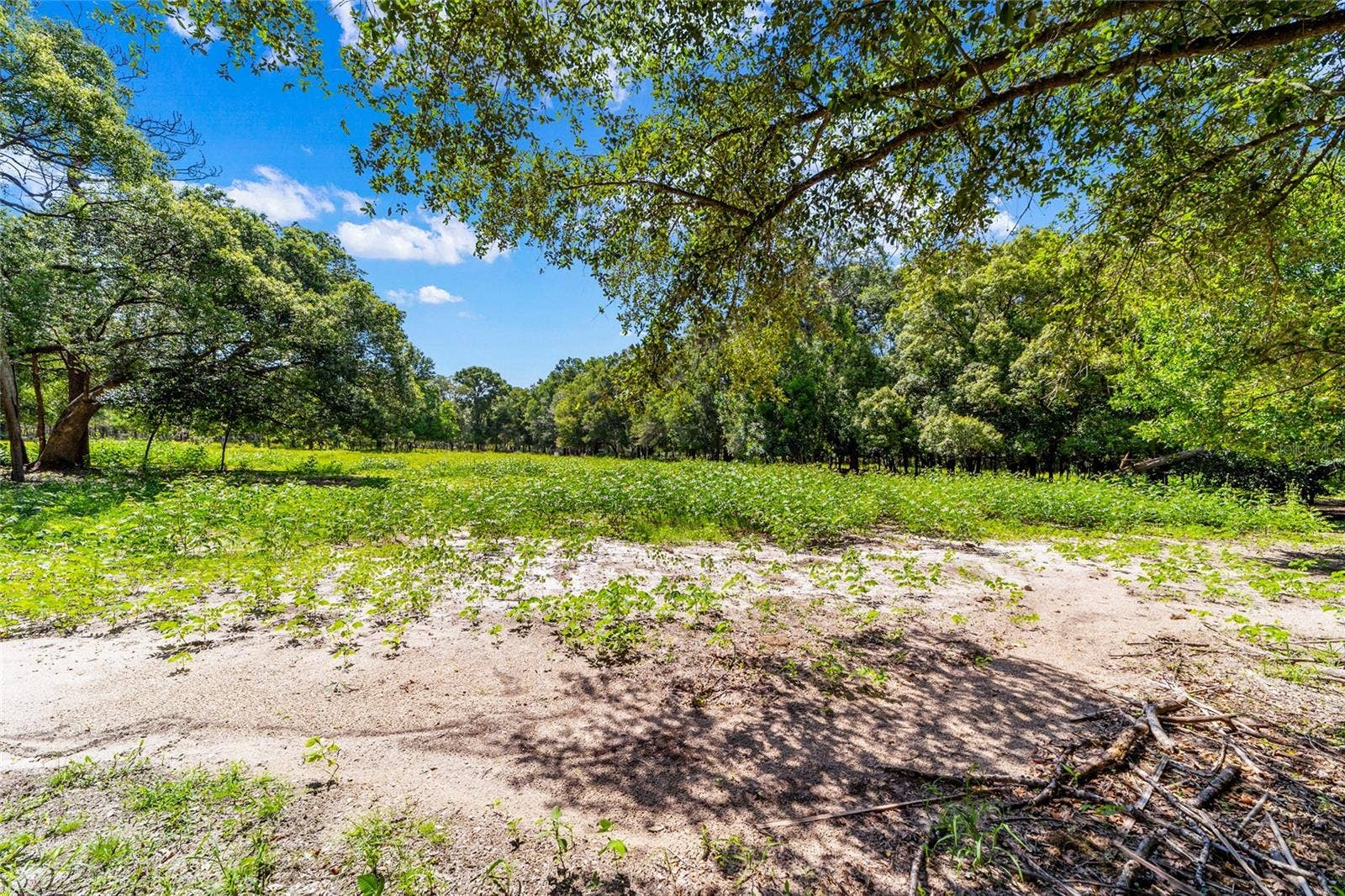 11768 N GATLEN AVENUE, Dunnellon, FL 34433 11768 N GATLEN AVENUE, Dunnellon, FL 34433