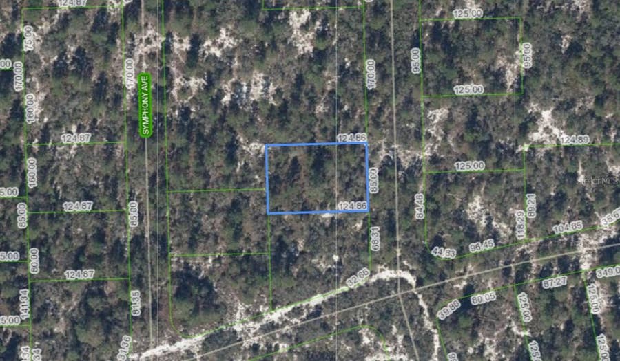 Property photo for 591 BLUE VELVET DRIVE, Lake Placid, FL
