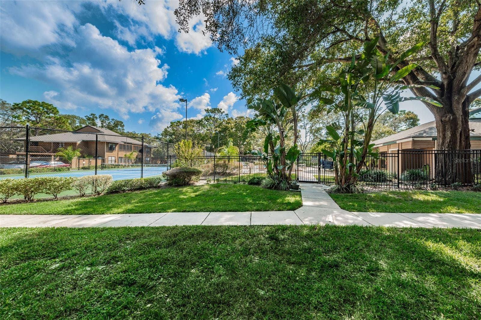 2205 LENNOX ROAD E, #2205, Palm Harbor, FL 34683 Common Area