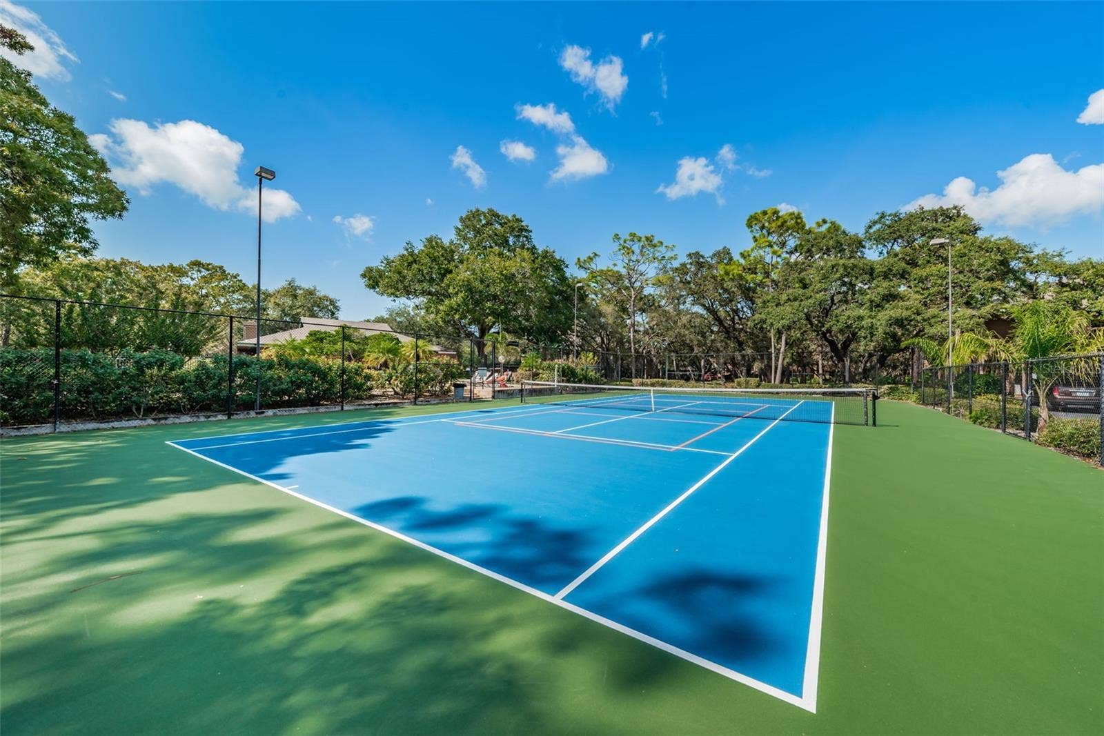 2205 LENNOX ROAD E, #2205, Palm Harbor, FL 34683 2205 LENNOX ROAD E, #2205, Palm Harbor, FL 34683