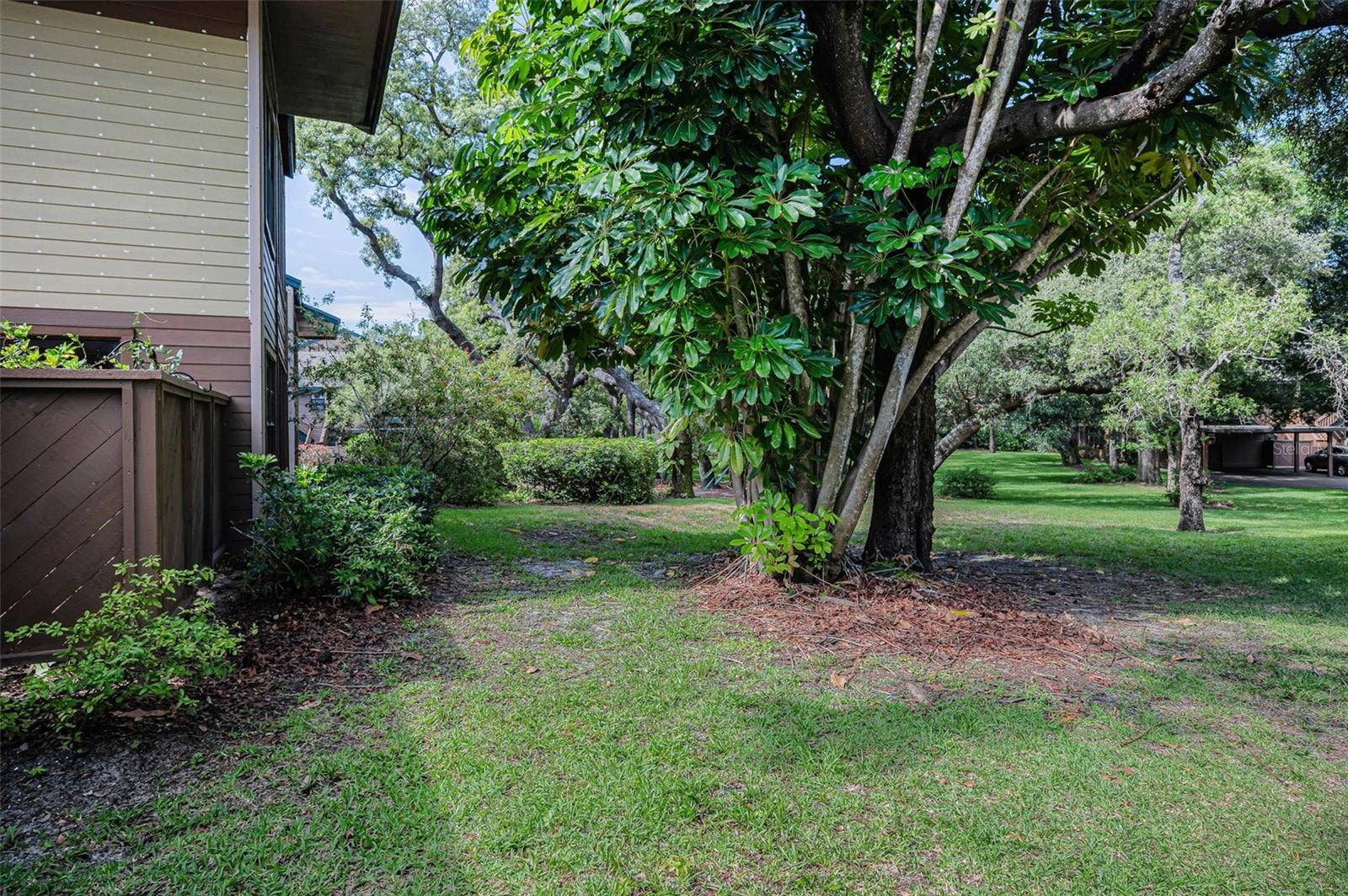 2205 LENNOX ROAD E, #2205, Palm Harbor, FL 34683 2205 LENNOX ROAD E, #2205, Palm Harbor, FL 34683