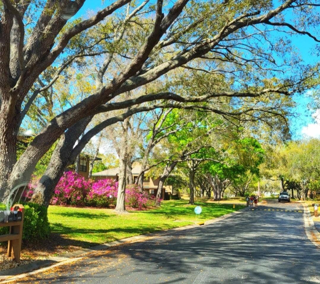 2205 LENNOX ROAD E, #2205, Palm Harbor, FL 34683 2205 LENNOX ROAD E, #2205, Palm Harbor, FL 34683