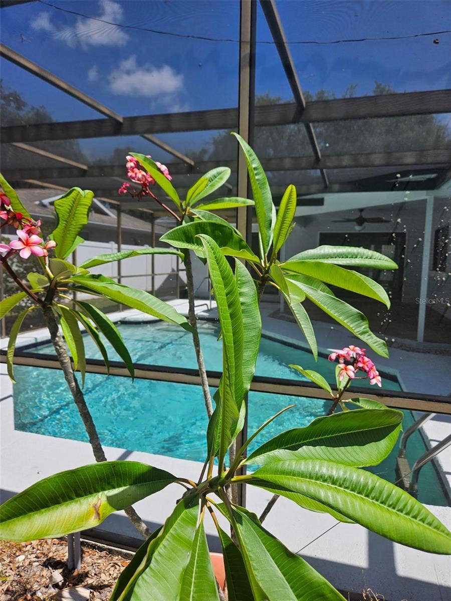 104 NESTLEBRANCH DRIVE, Safety Harbor, FL 34695 104 NESTLEBRANCH DRIVE, Safety Harbor, FL 34695