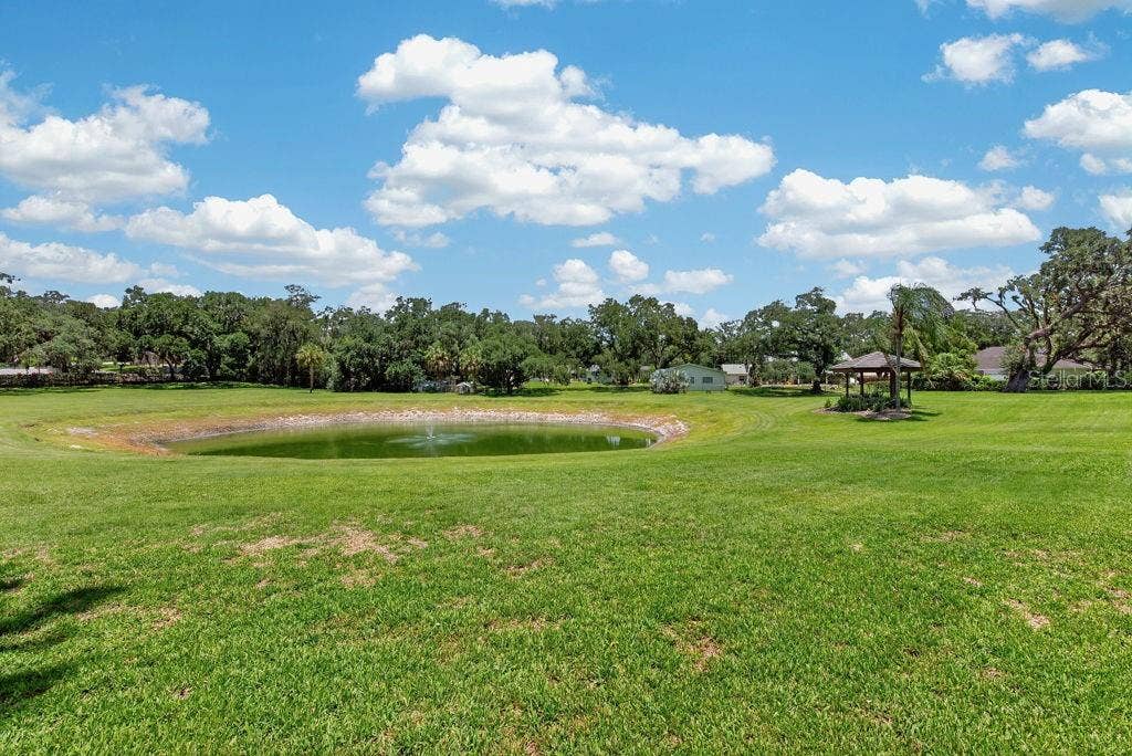 1007 LAKEWOOD DRIVE, Brandon, FL 33510 1007 LAKEWOOD DRIVE, Brandon, FL 33510