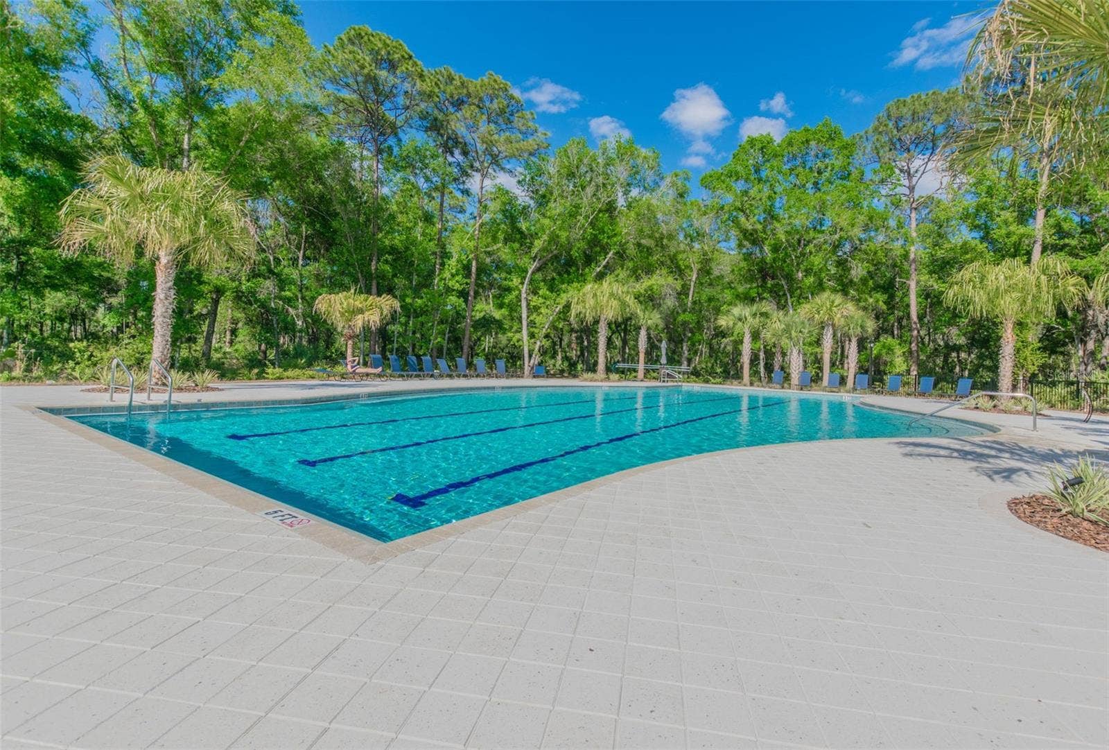 17576 TERRAZZO WAY, Land O Lakes, FL 34638 17576 TERRAZZO WAY, Land O Lakes, FL 34638