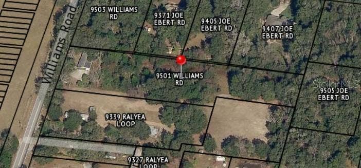 Property photo for 9501 WILLIAMS ROAD, Seffner, FL