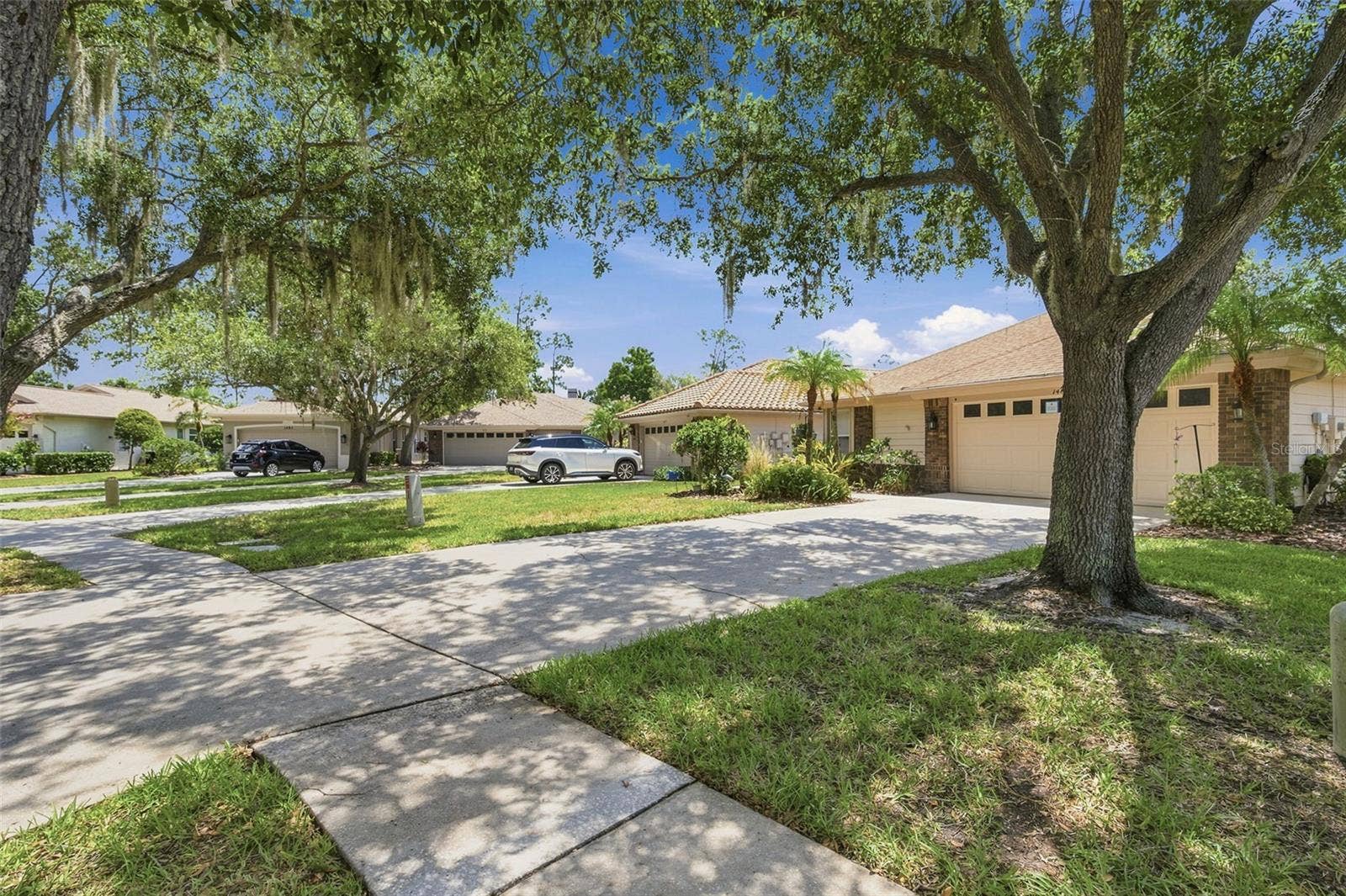 1469 RIVERDALE DRIVE, Oldsmar, FL 34677