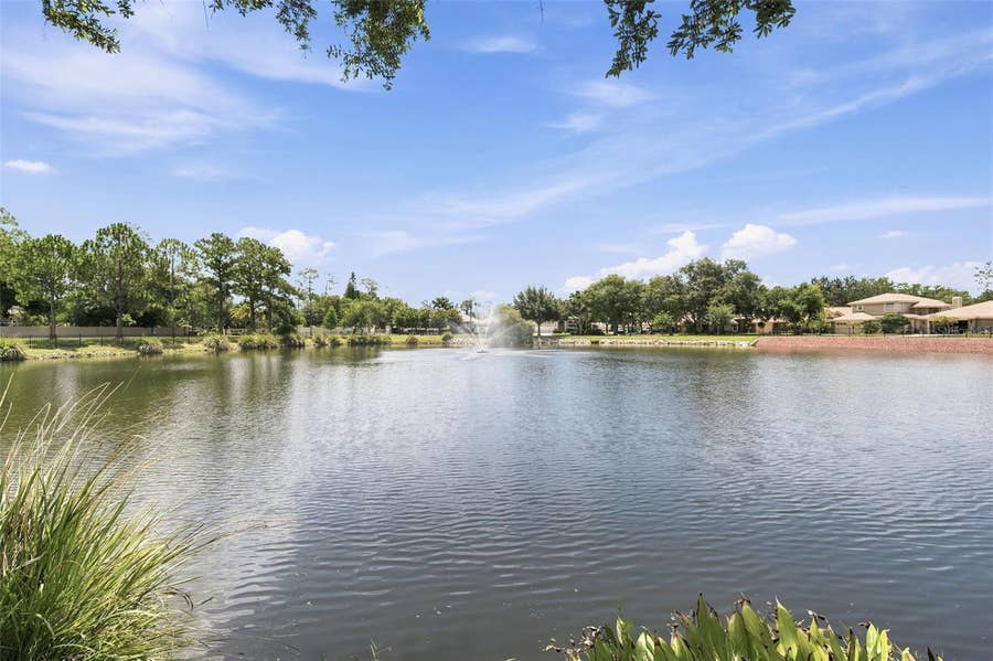 Property photo for 1469 RIVERDALE DRIVE, Oldsmar, FL