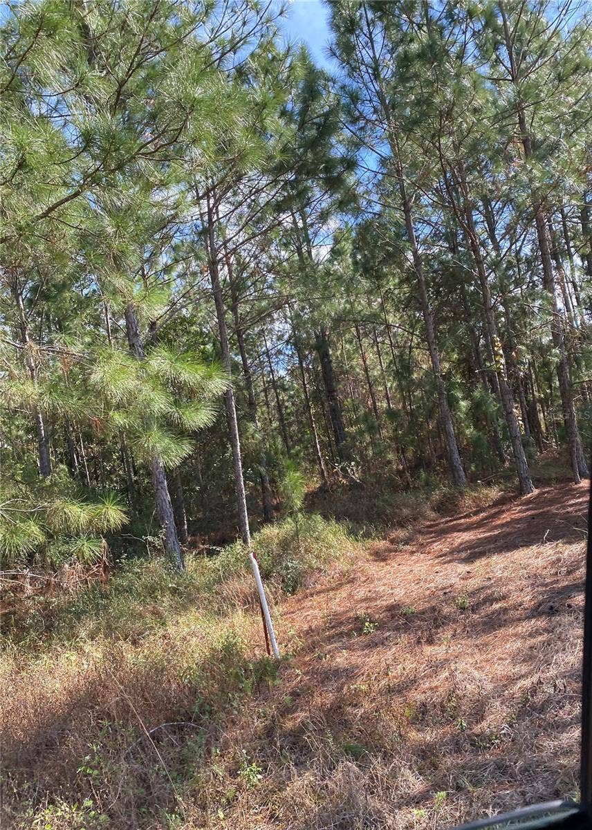 Property photo for Polk City, FL