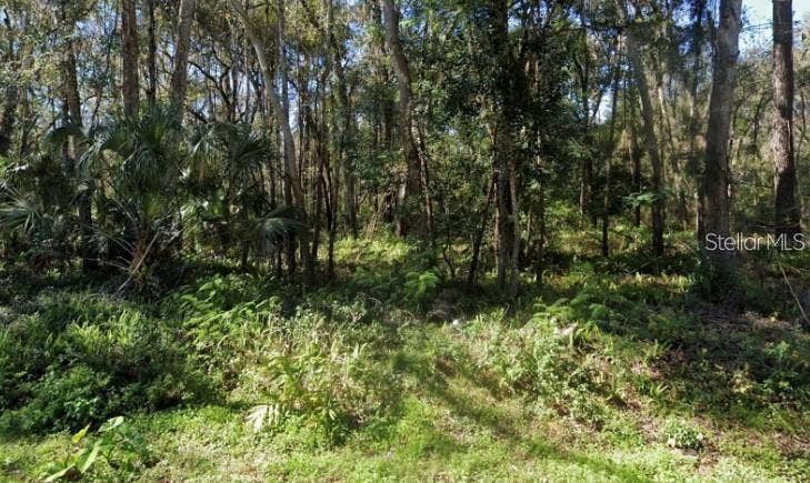 Property photo for 0 ZOLLER STREET, Brooksville, FL