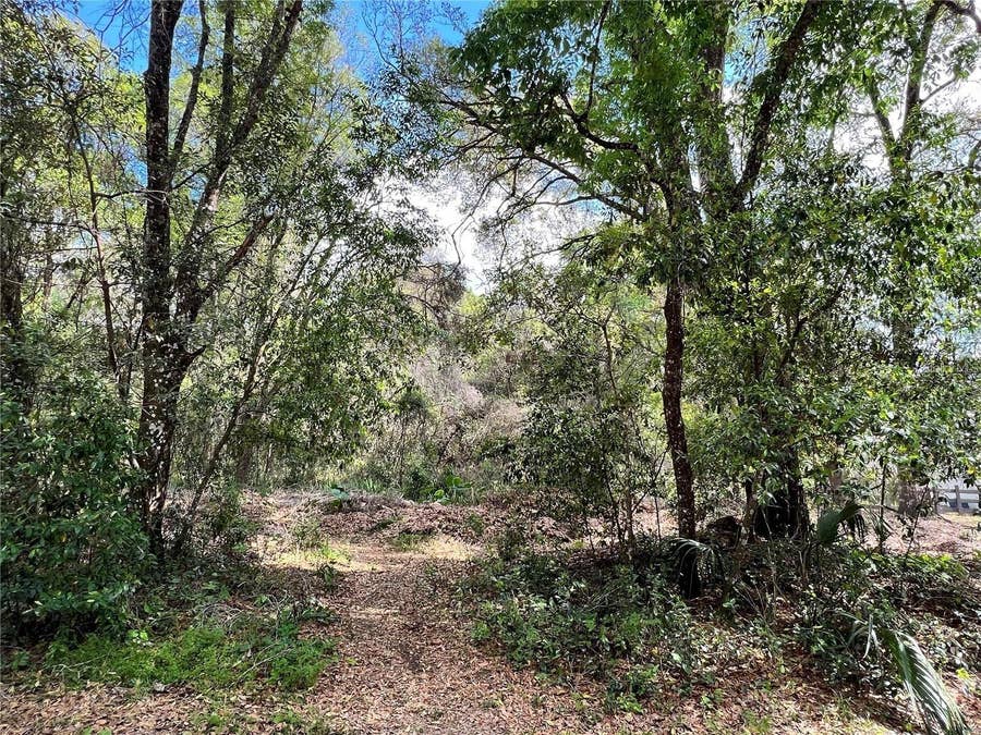 Property photo for 0 GARFIELD AVENUE, Brooksville, FL