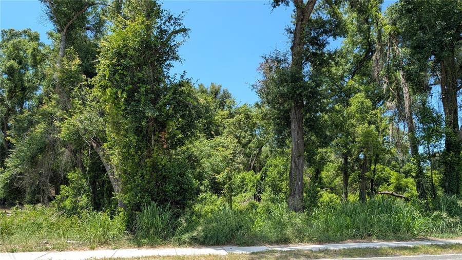 Property photo for 9505 JOE EBERT ROAD, Seffner, FL