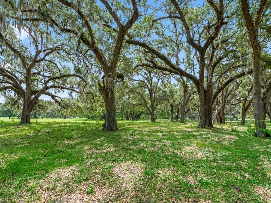 Property photo for Lot 12 CR 543, Bushnell, FL