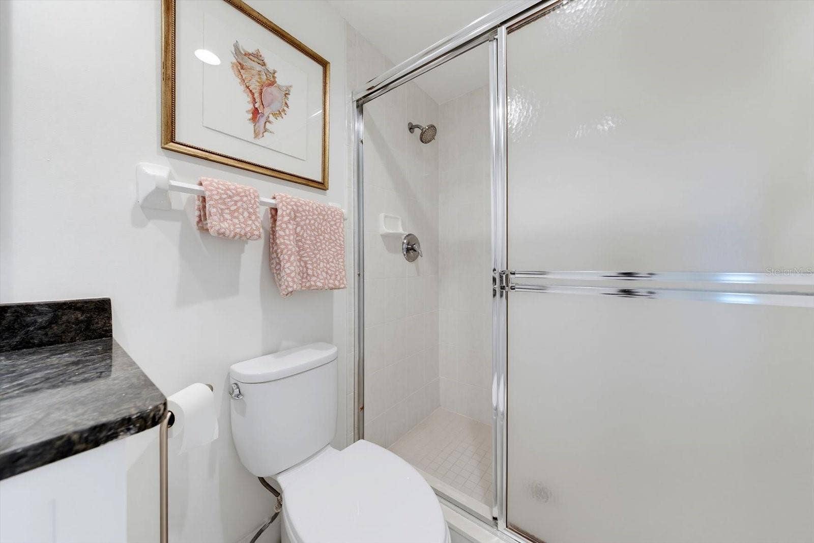 1170 GULF BOULEVARD, #404, Clearwater Beach, FL 33767 Guest bathroom shower