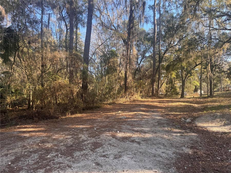Property photo for 0 198TH LANE, Fort Mc Coy, FL