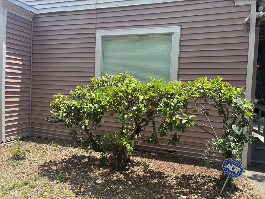 Property photo for 807 E OSBORNE AVENUE, Tampa, FL