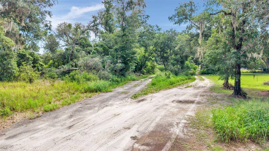Property photo for SYDNEY WASHER ROAD, Dover, FL