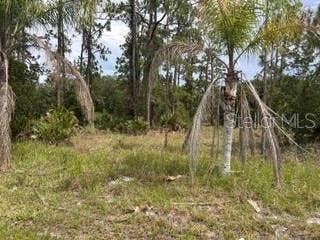 Property photo for 823 PANDORA (BLK 217 LOT 13) DRIVE, Indian Lake Estates, FL